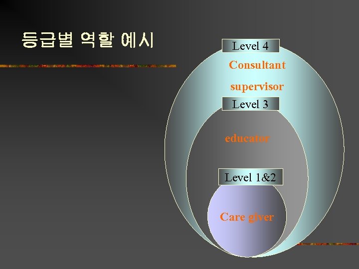 등급별 역할 예시 Level 4 Consultant supervisor Level 3 educator Care giver Level 1&2