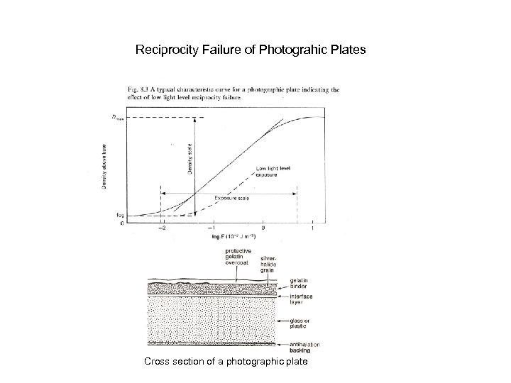 Reciprocity Failure of Photograhic Plates Cross section of a photographic plate 