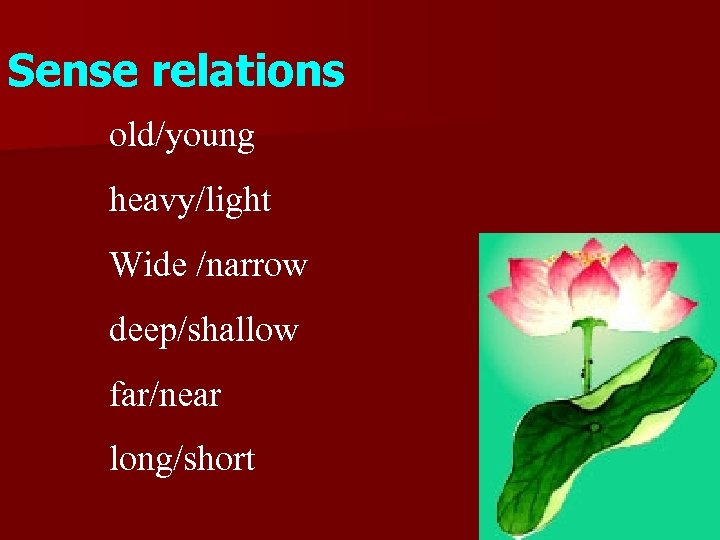 Sense relations old/young heavy/light Wide /narrow deep/shallow far/near long/short 
