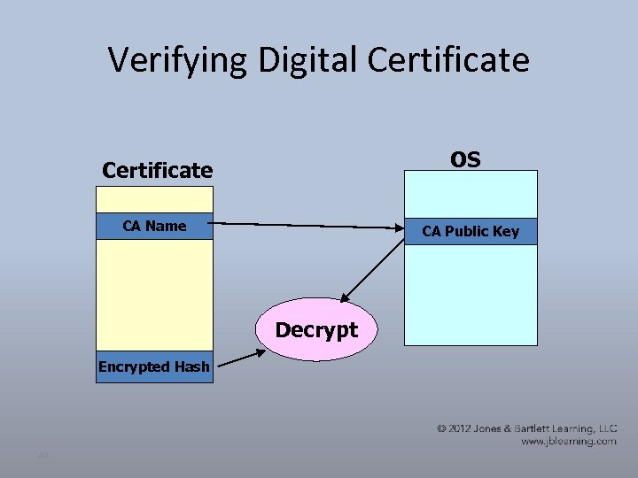 Verifying Digital Certificate OS Certificate CA Name CA Public Key Decrypt Encrypted Hash 43