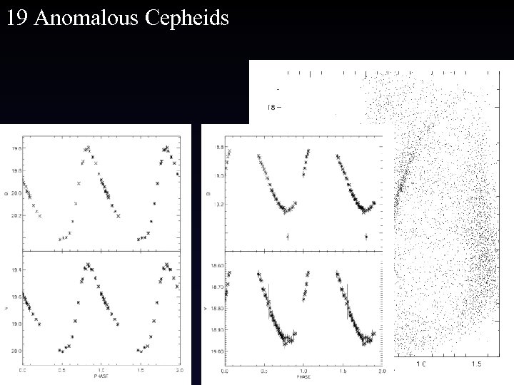 19 Anomalous Cepheids 