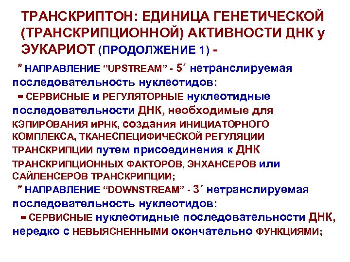 ТРАНСКРИПТОН: ЕДИНИЦА ГЕНЕТИЧЕСКОЙ (ТРАНСКРИПЦИОННОЙ) АКТИВНОСТИ ДНК у ЭУКАРИОТ (ПРОДОЛЖЕНИЕ 1) * НАПРАВЛЕНИЕ “UPSTREAM” -