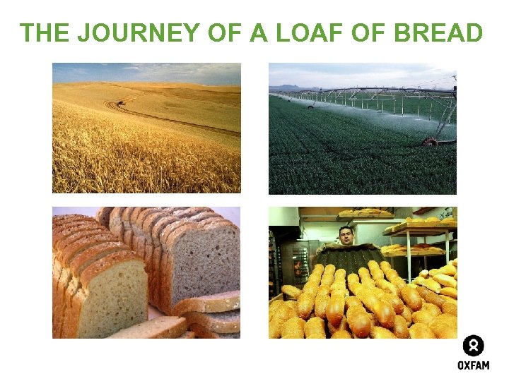 THE JOURNEY OF A LOAF OF BREAD 