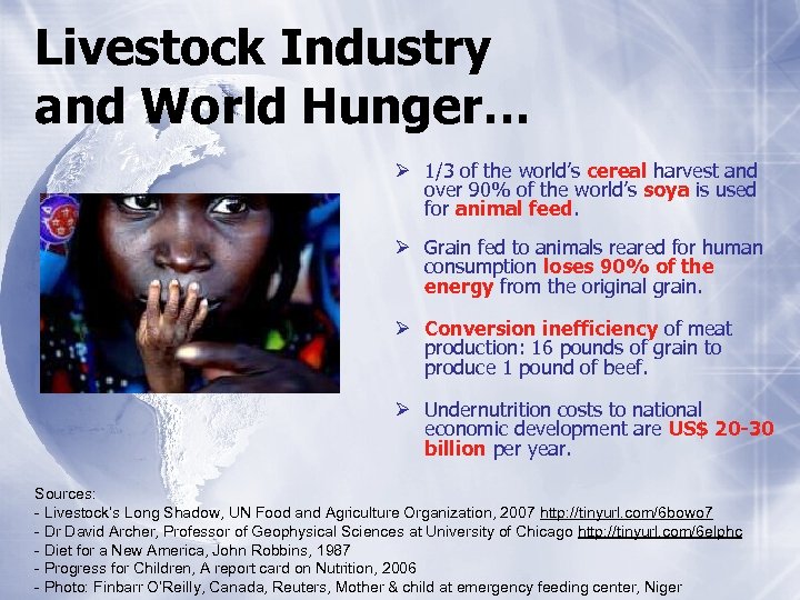 Livestock Industry and World Hunger… Ø 1/3 of the world’s cereal harvest and over