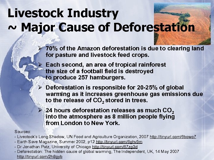 Livestock Industry ~ Major Cause of Deforestation Ø 70% of the Amazon deforestation is