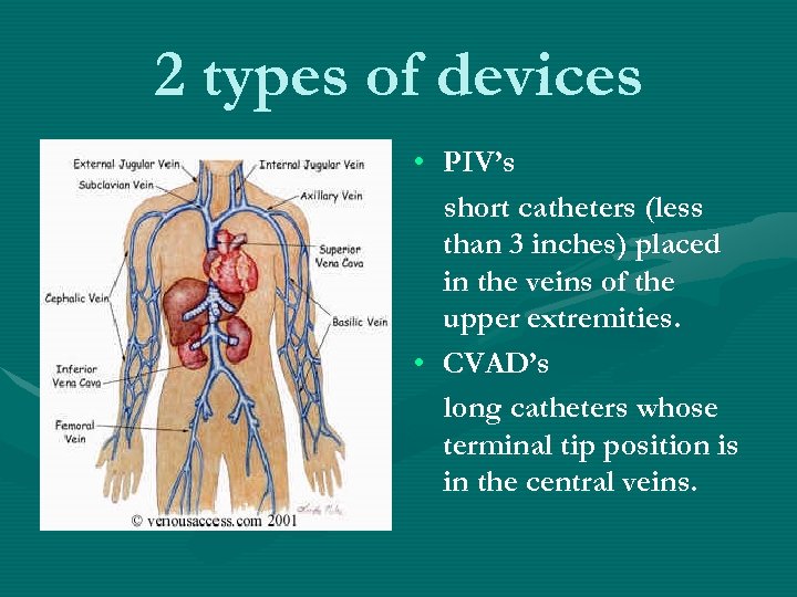 2 types of devices • PIV’s short catheters (less than 3 inches) placed in