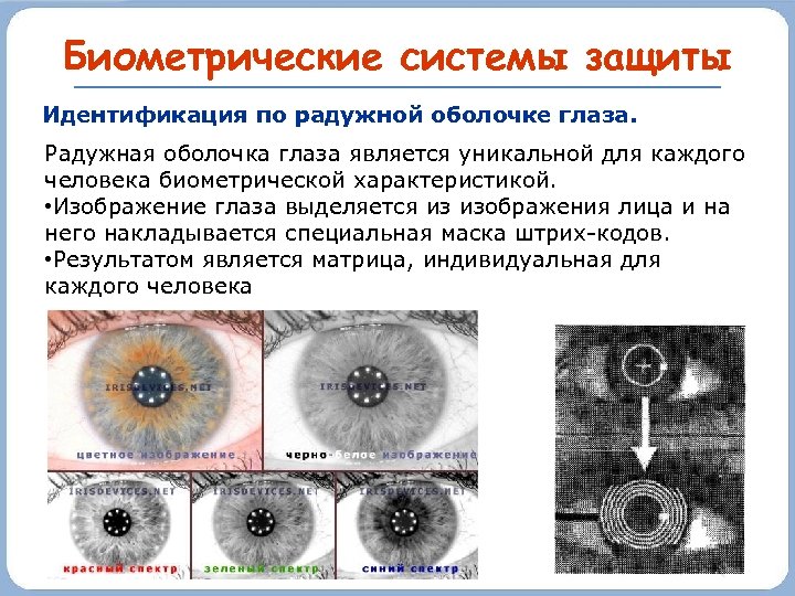 Биометрические системы защиты Идентификация по радужной оболочке глаза. Радужная оболочка глаза является уникальной для