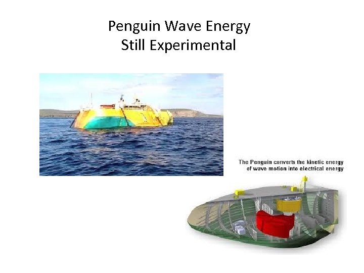 Penguin Wave Energy Still Experimental 