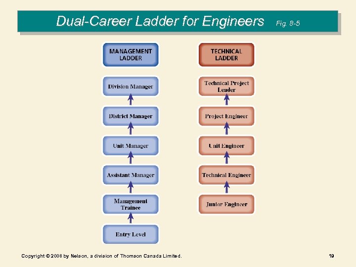 Dual-Career Ladder for Engineers Copyright © 2008 by Nelson, a division of Thomson Canada