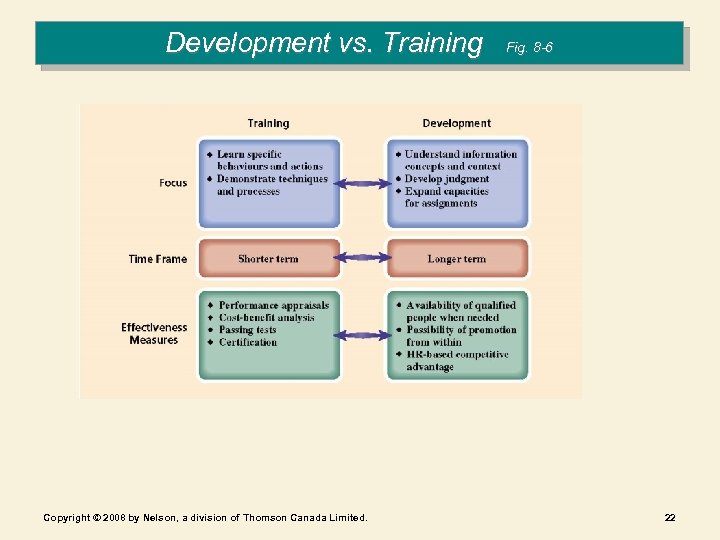 Development vs. Training Copyright © 2008 by Nelson, a division of Thomson Canada Limited.