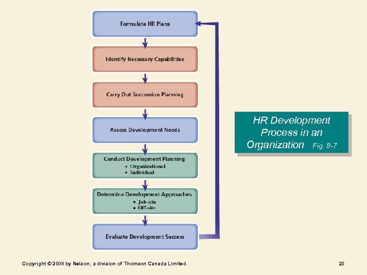 HR Development Process in an Organization Fig. 8 -7 Copyright © 2008 by Nelson,