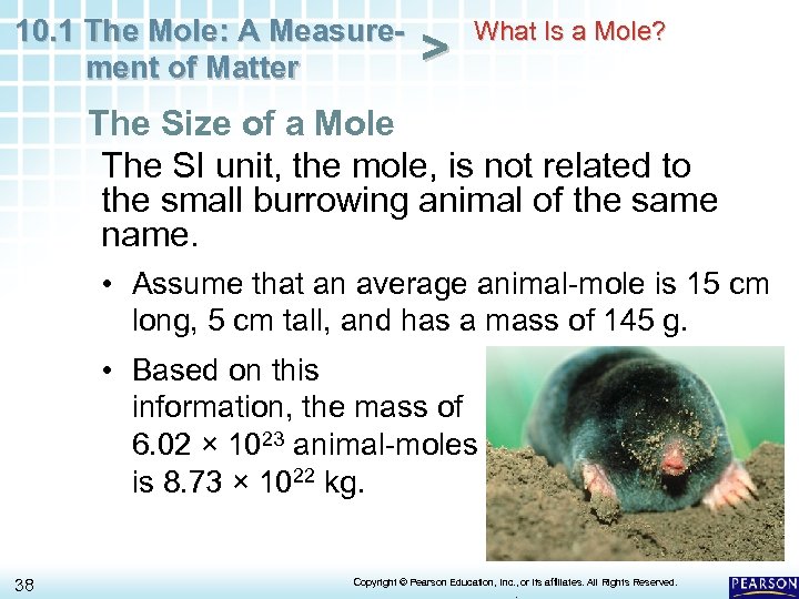 10. 1 The Mole: A Measurement of Matter > What Is a Mole? The