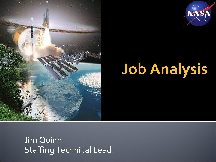 Job Analysis Jim Quinn Staffing Technical Lead 