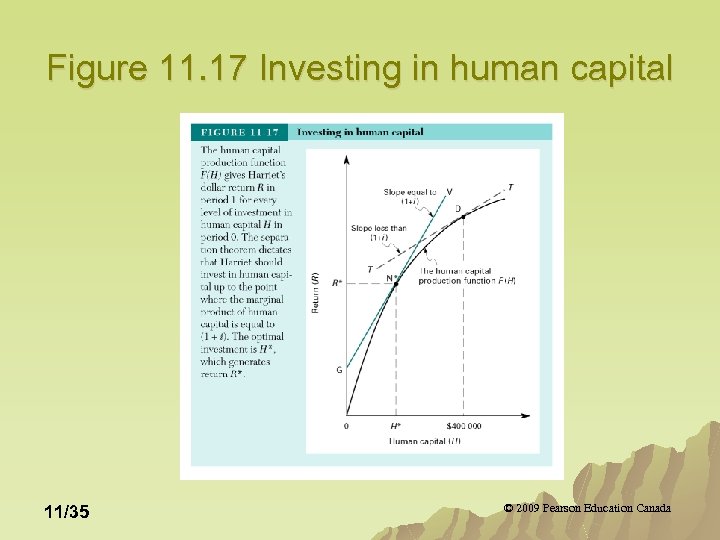 Figure 11. 17 Investing in human capital 11/35 © 2009 Pearson Education Canada 