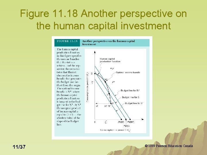 Figure 11. 18 Another perspective on the human capital investment 11/37 © 2009 Pearson