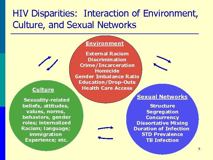 HIV Disparities: Interaction of Environment, Culture, and Sexual Networks Environment Culture Sexuality-related beliefs, attitudes,