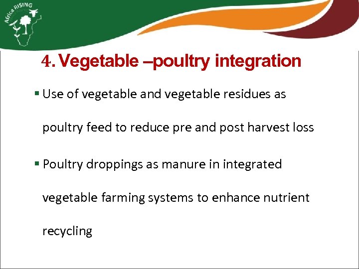 4. Vegetable –poultry integration § Use of vegetable and vegetable residues as poultry feed