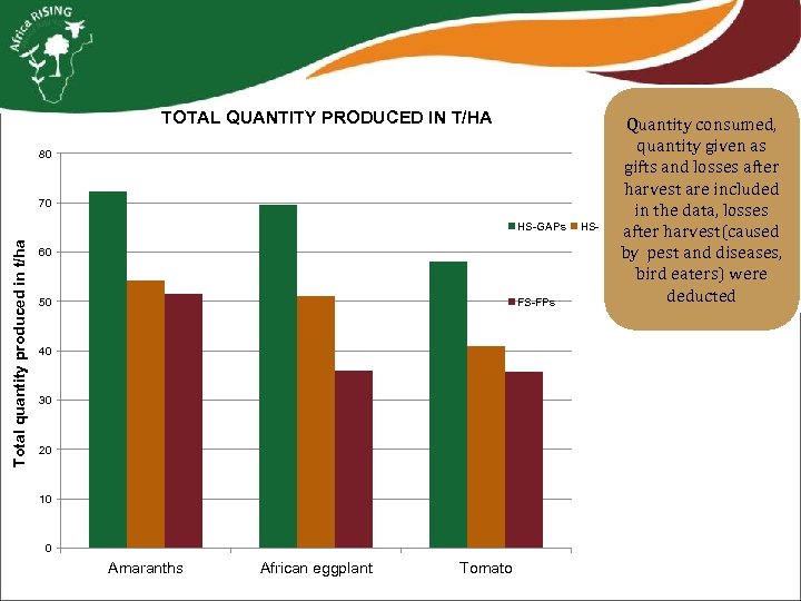 TOTAL QUANTITY PRODUCED IN T/HA 80 70 Total quantity produced in t/ha HS-GAPs 60