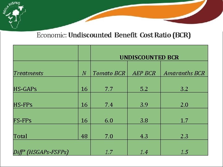 Economic: Undiscounted Benefit Cost Ratio (BCR) UNDISCOUNTED BCR Treatments N Tomato BCR AEP BCR