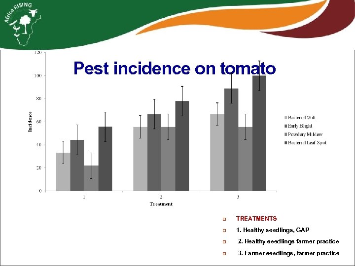 Pest incidence on tomato q TREATMENTS q 1. Healthy seedlings, GAP q 2. Healthy