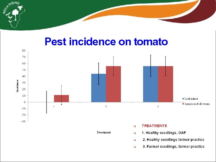 Pest incidence on tomato 