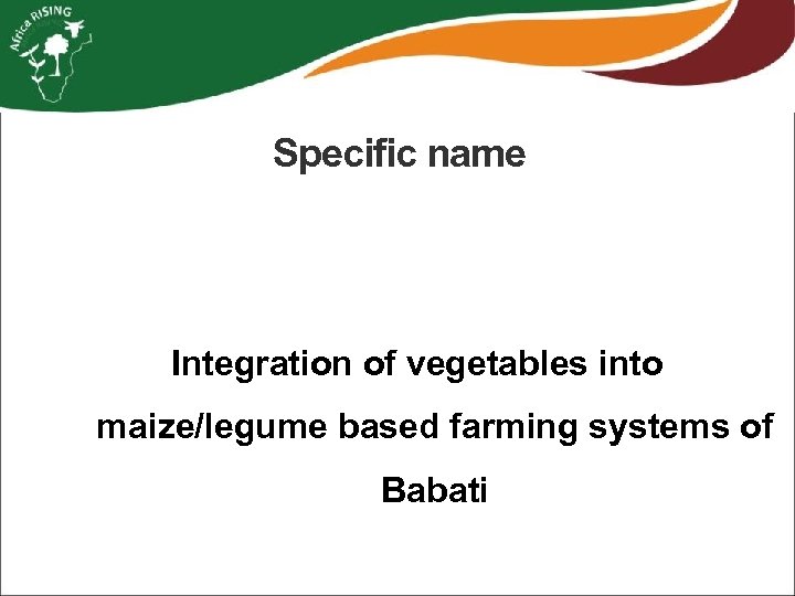 Specific name Integration of vegetables into maize/legume based farming systems of Babati 