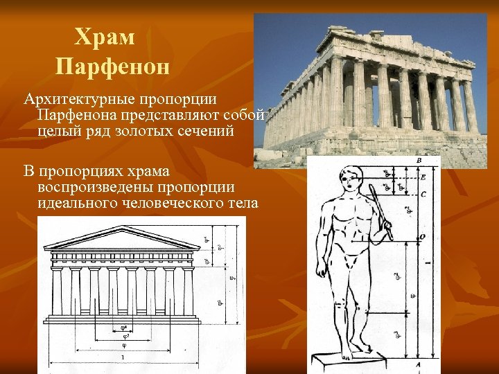 Храм Парфенон Архитектурные пропорции Парфенона представляют собой целый ряд золотых сечений В пропорциях храма