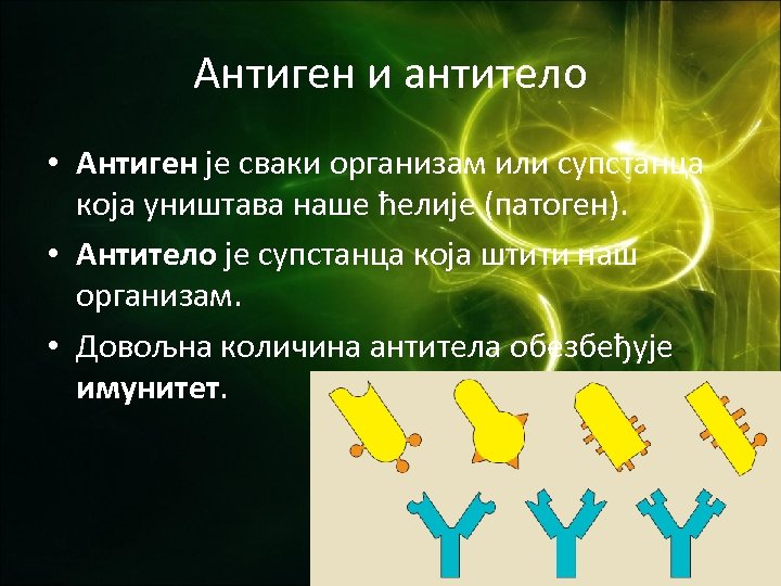 Антиген и антитело • Антиген је сваки организам или супстанца која уништава наше ћелије