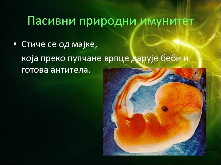 Пасивни природни имунитет • Стиче се од мајке, која преко пупчане врпце дарује беби