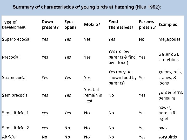 Summary of characteristics of young birds at hatching (Nice 1962): Type of Development Down