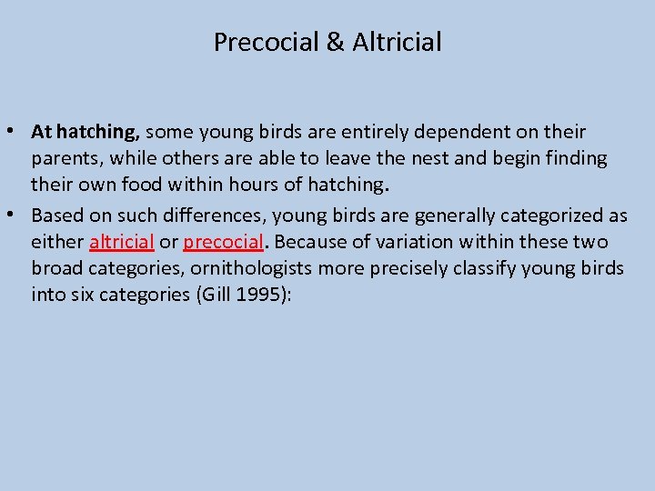 Precocial & Altricial • At hatching, some young birds are entirely dependent on their