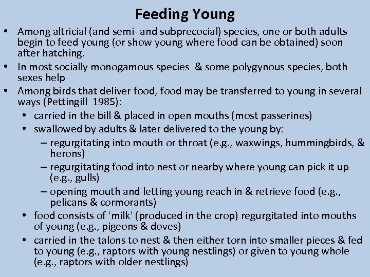 Feeding Young • Among altricial (and semi- and subprecocial) species, one or both adults