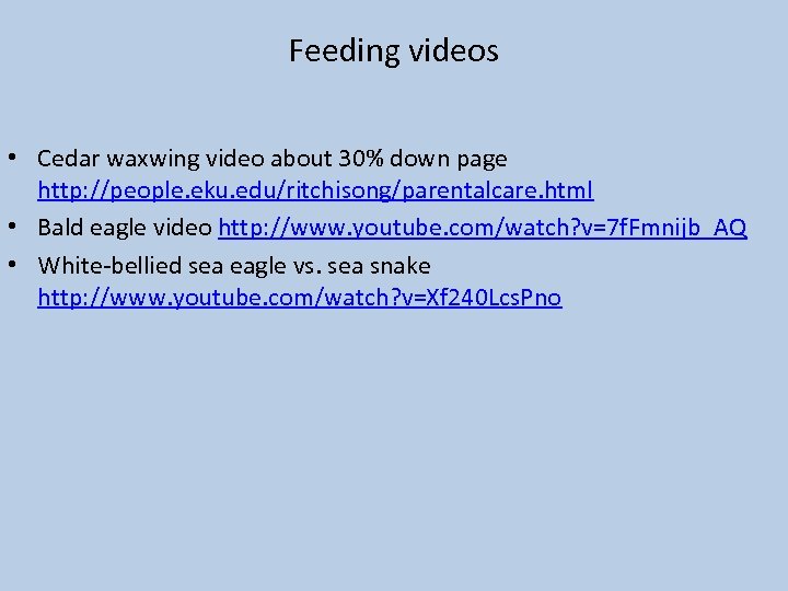 Feeding videos • Cedar waxwing video about 30% down page http: //people. eku. edu/ritchisong/parentalcare.