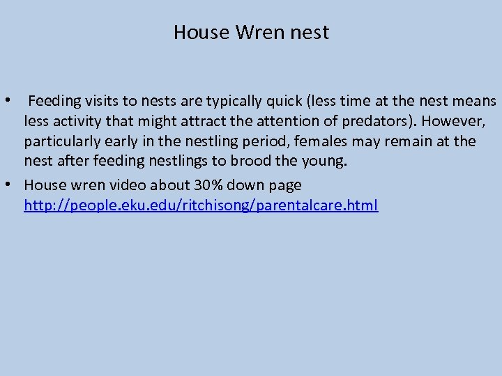 House Wren nest • Feeding visits to nests are typically quick (less time at