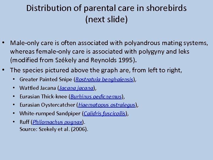 Distribution of parental care in shorebirds (next slide) • Male-only care is often associated