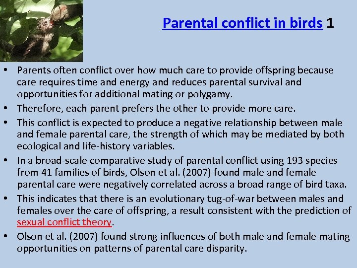 Parental conflict in birds 1 • Parents often conflict over how much care to