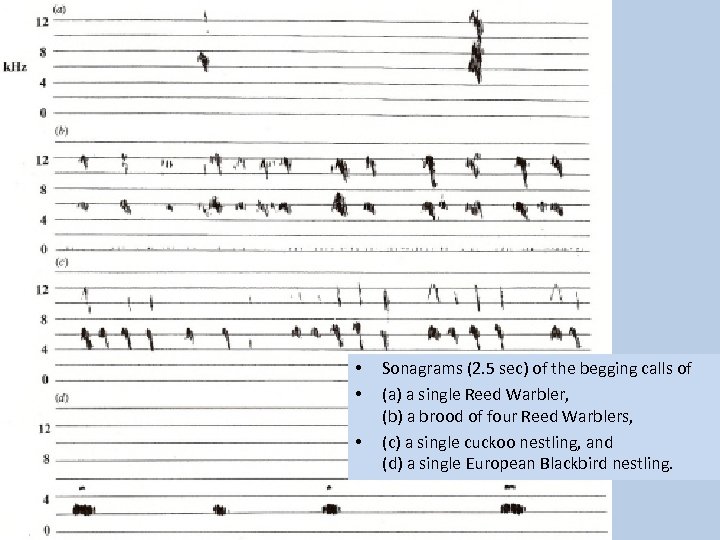  • • • Sonagrams (2. 5 sec) of the begging calls of (a)