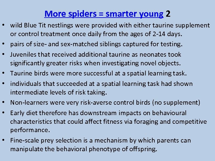 More spiders = smarter young 2 • wild Blue Tit nestlings were provided with