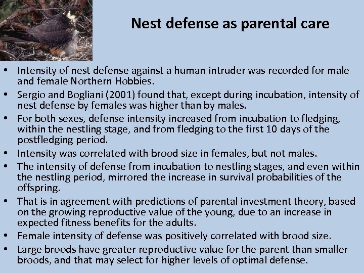 Nest defense as parental care • Intensity of nest defense against a human intruder