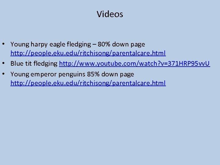 Videos • Young harpy eagle fledging – 80% down page http: //people. eku. edu/ritchisong/parentalcare.