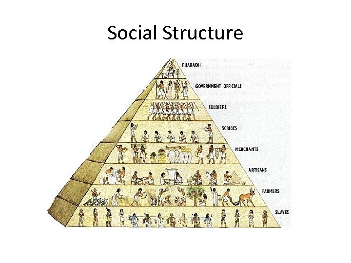 Social Structure 