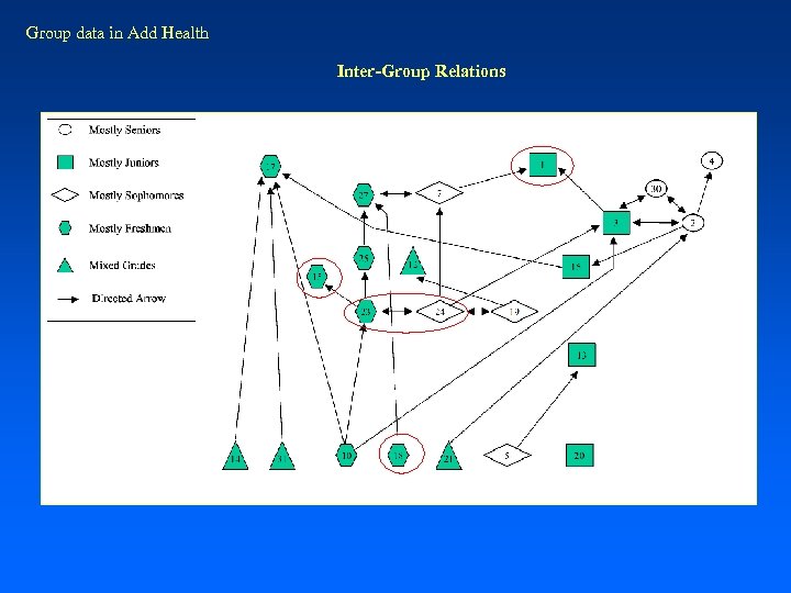 Group data in Add Health Inter-Group Relations 