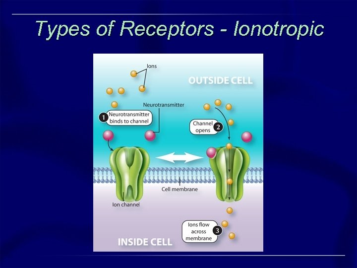 Types of Receptors - Ionotropic 