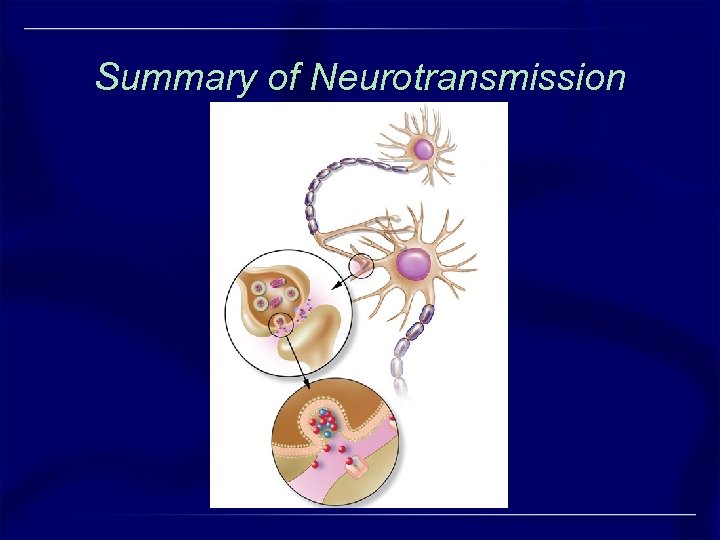 Summary of Neurotransmission 