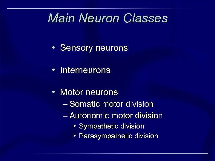 Main Neuron Classes • Sensory neurons • Interneurons • Motor neurons – Somatic motor