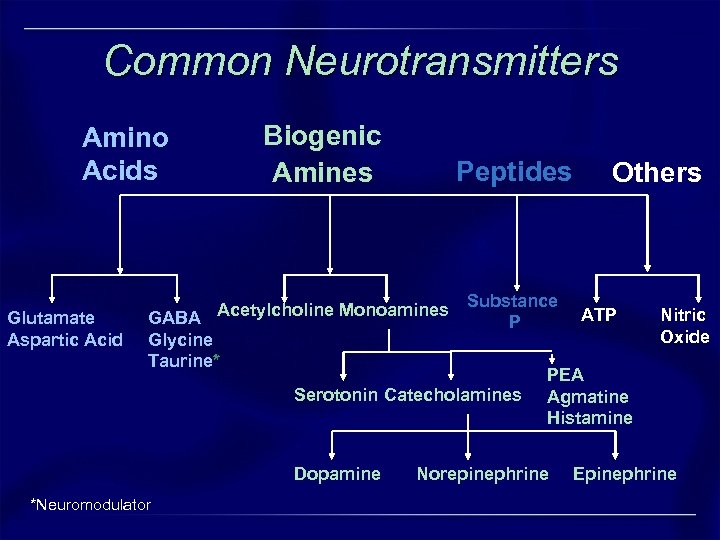 Common Neurotransmitters Biogenic Amines Amino Acids Glutamate Aspartic Acid Peptides GABA Acetylcholine Monoamines Glycine