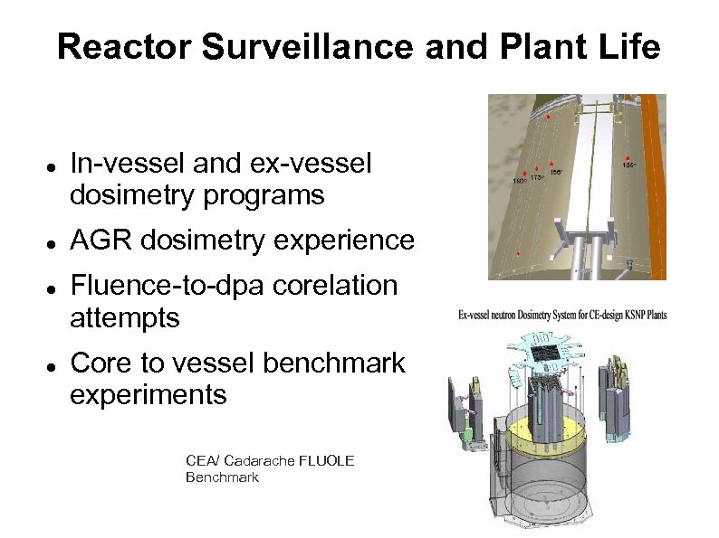 Reactor Surveillance and Plant Life In-vessel and ex-vessel dosimetry programs AGR dosimetry experience Fluence-to-dpa
