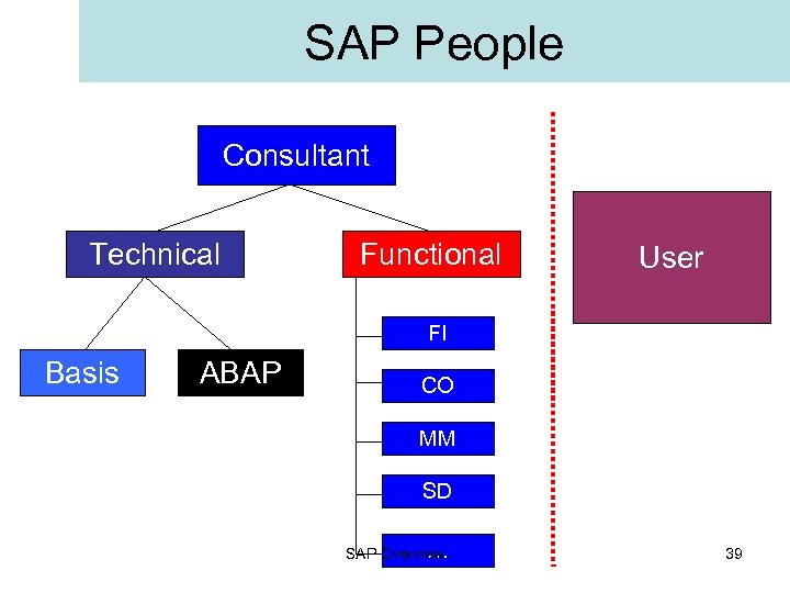 SAP People Consultant Technical Functional User FI Basis ABAP CO MM SD … SAP