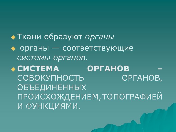 u Ткани образуют органы u органы — соответствующие системы органов. u СИСТЕМА ОРГАНОВ –