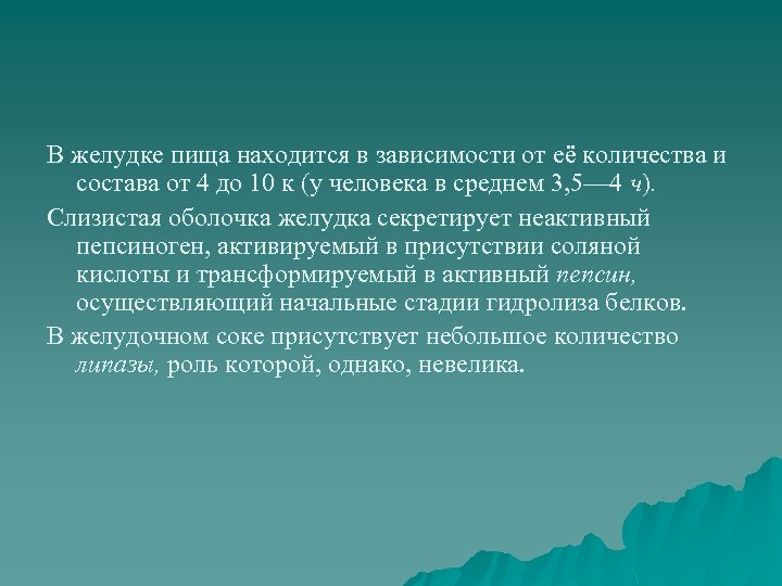 В желудке пища находится в зависимости от её количества и состава от 4 до